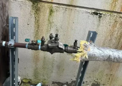 Professional Plumbing Services