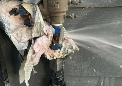 Professional Plumbing Services