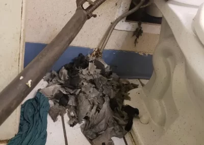 Professional Plumbing Services